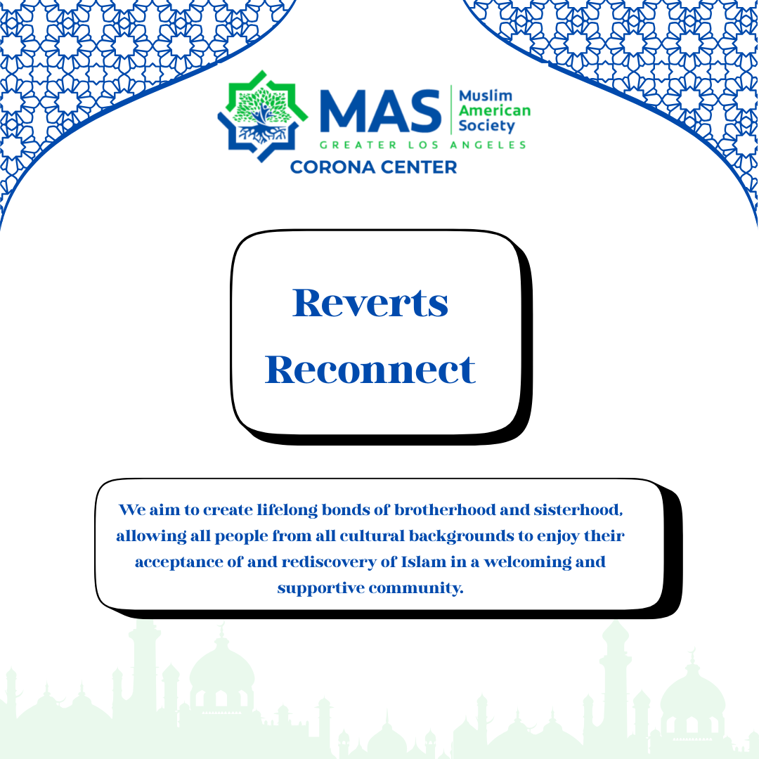 Kung-Fu Opening Demo Night